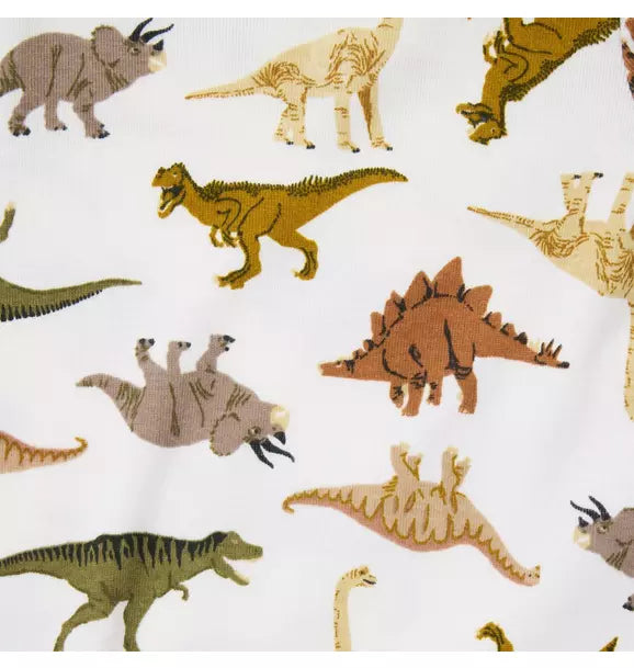 Good Night Pajama In Dinosaur